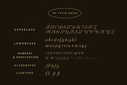 Delugia Script, a Script Font by Typia Nesia (Thumbnail 11 of 11)