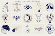 Magic bundle set, an Animal Illustration by annasokol_ (Thumbnail 8 of 22)