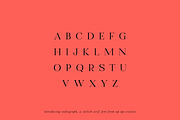 Radiograph, A Serif Font, a Serif Font by Up Up Creative (Thumbnail 3 of 12)