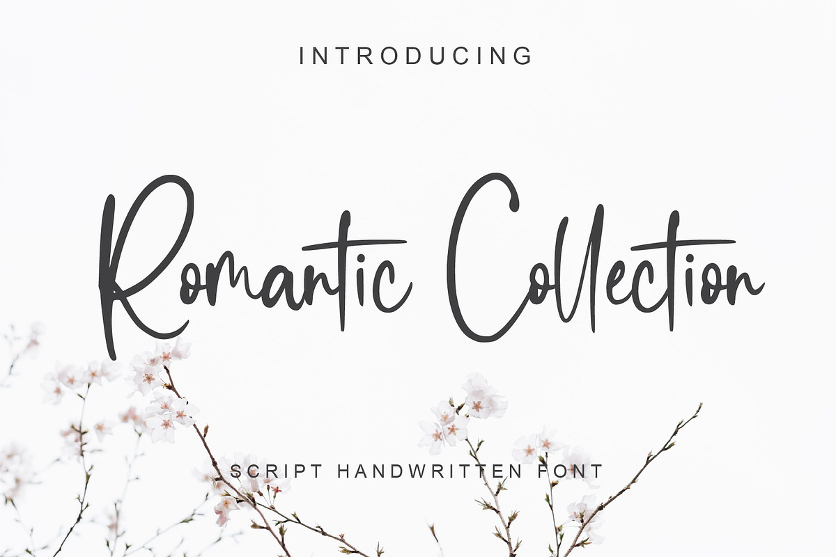 Romantic Collection, a Script Font by alphArtype (Photo 1 of 6)