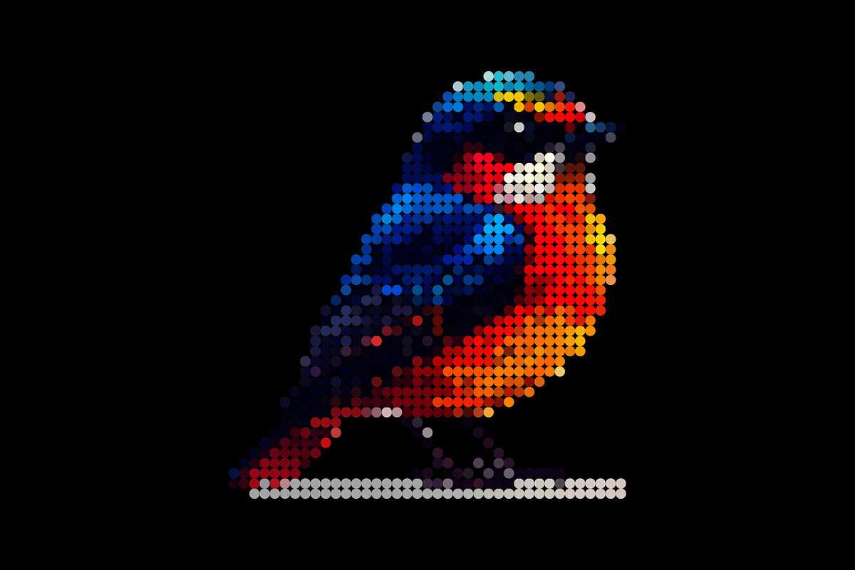 Colorfull Bird Image, pixel dotted s, an Animal Illustration by Pray Art Design Studio (Photo 2 of 3)