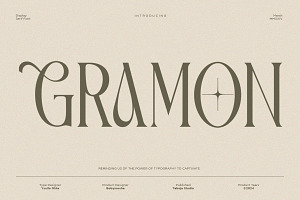 TBJ Gramon Condensed Stylish Font, a Serif Font by Taboja Studio