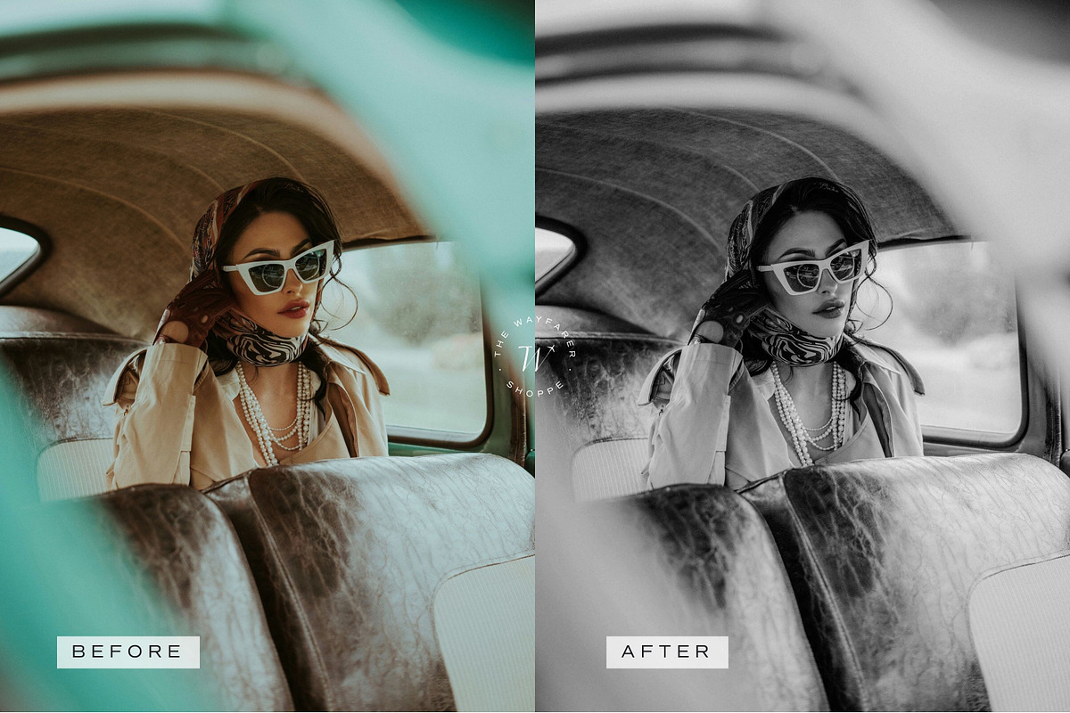 5 B&W LR Presets + Video LUTs, a Preset Add-On by TheWayfarerShoppe (Photo 13 of 17)