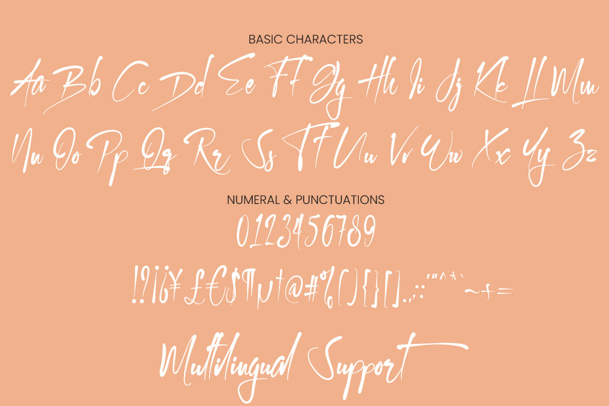 Kallem - Script Font, a Script Font by zelow type (Photo 12 of 14)