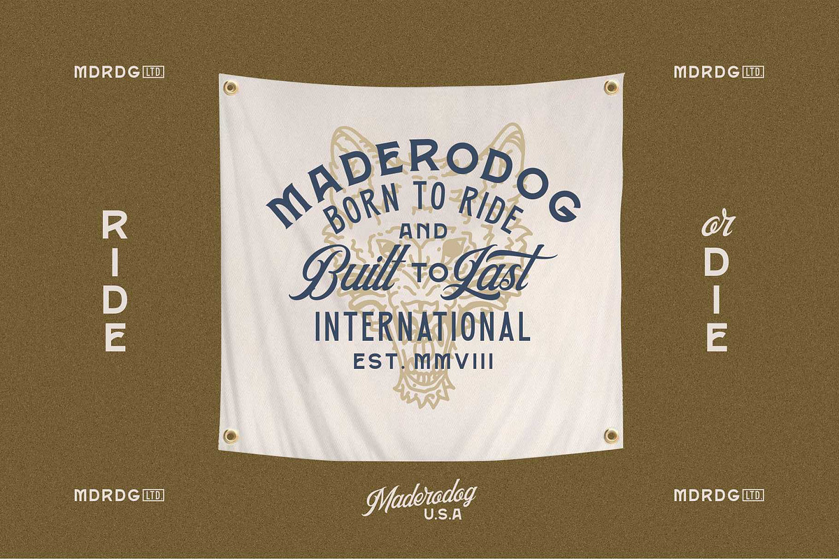 Roosevelt Font Family (Font Bundle), a Sans Serif Font by ngene (Photo 10 of 12)