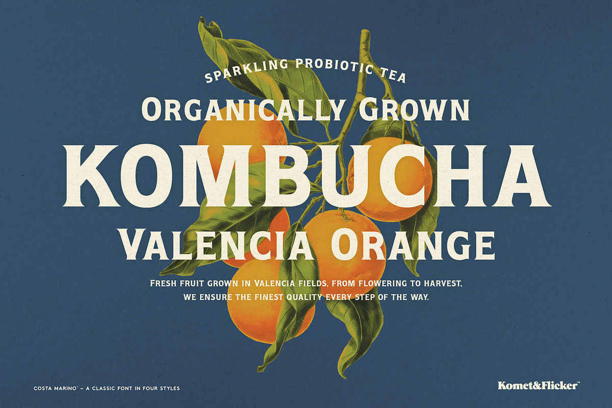 Costa Marino - A Classic Style Font, a Serif Font by Komet & Flicker (Photo 5 of 14)