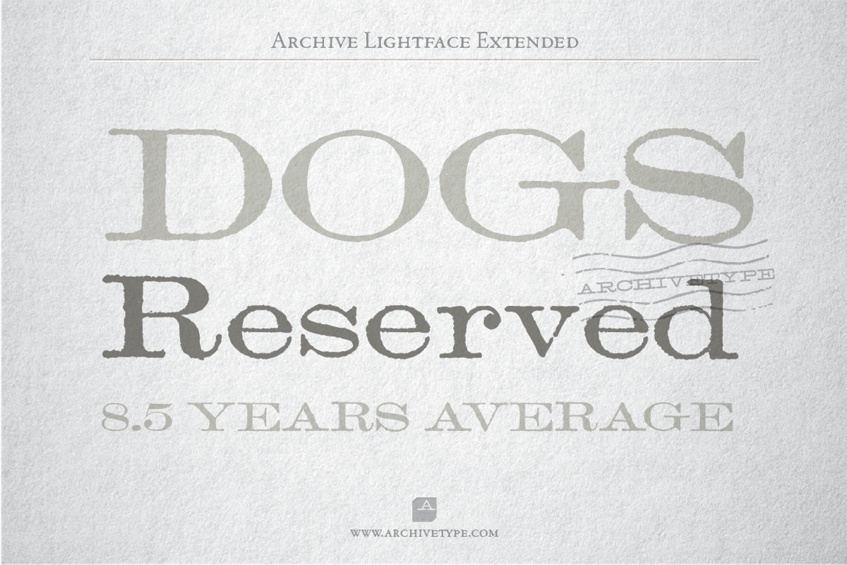 Archive Lightface Extended preview 2