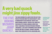 Gardo Grotesk | A Display Sans, a Sans Serif Font by Ayca Atalay (Thumbnail 4 of 10)