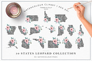 Bestsellers Graphics Bundle, an Animal Illustration by Tommy & Tilly Design (Thumbnail 9 of 21)