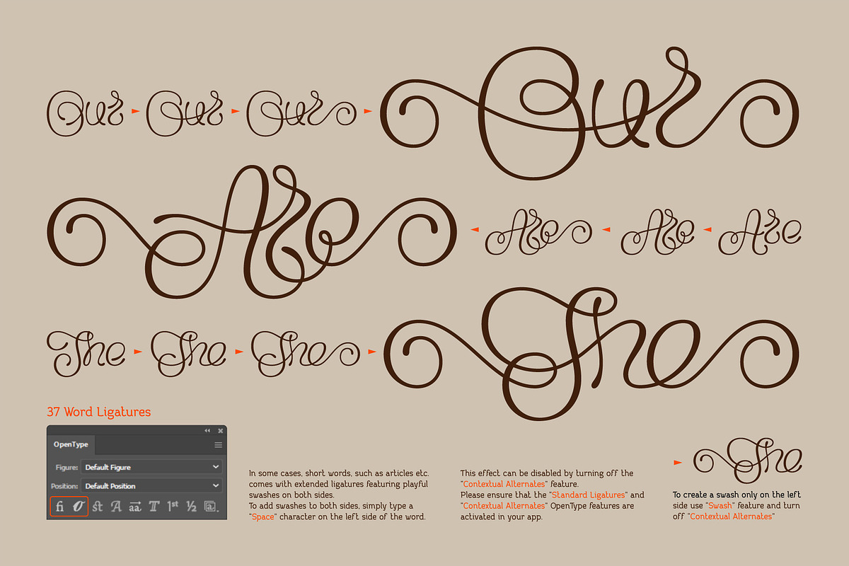 Flourel, a Script Font by Gleb Guralnyk (Photo 4 of 11)