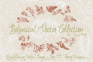 Botanical Vector Collection