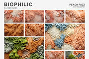 80 Biophilic backgrounds, a Background Graphic by Polli Deeva (Thumbnail 4 of 16)