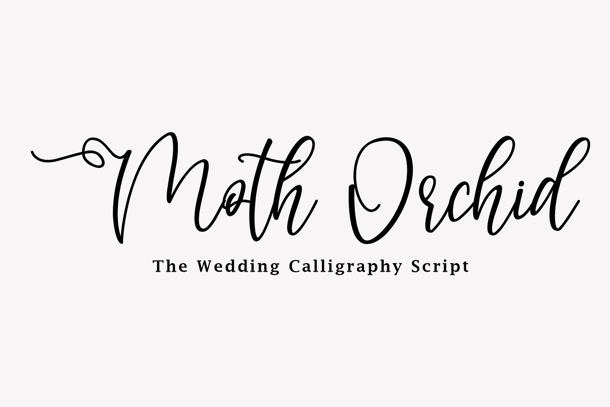 Moth Orchid Wedding Calligraphy Font, a Script Font by Face Lab (Photo 1 of 9)