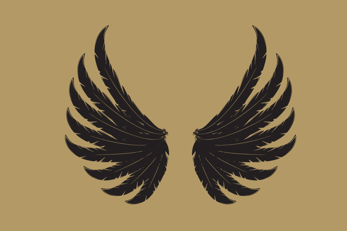 160 Pairs of Vector Wings, an Object Graphic by Damien (Photo 4 of 17)