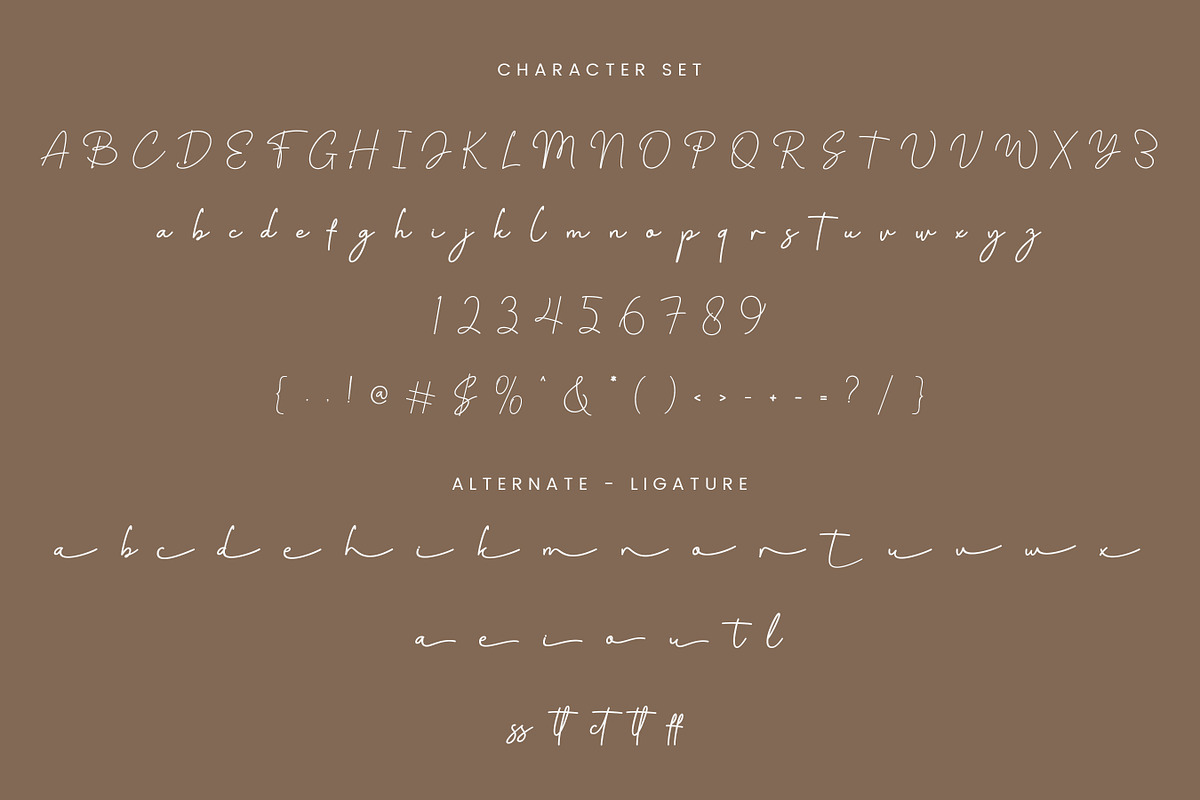 Claustina Signature Font, a Script Font by Imiftype Studio (Photo 9 of 10)