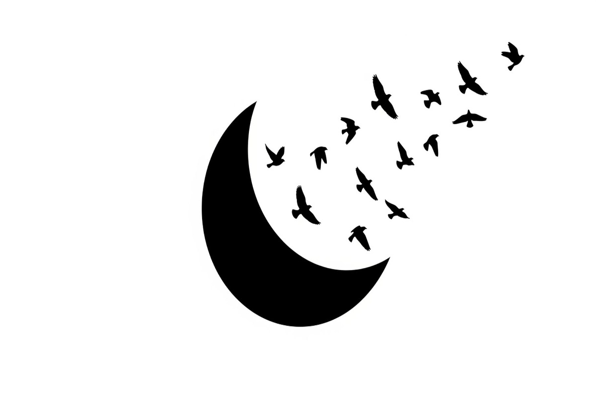 Flying Birds Moon SVG Bundle, an Illustration by yasushie (Photo 22 of 31)