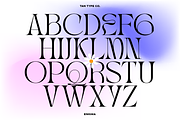 TAN - ENIGMA, a Serif Font by TanType (Thumbnail 7 of 16)