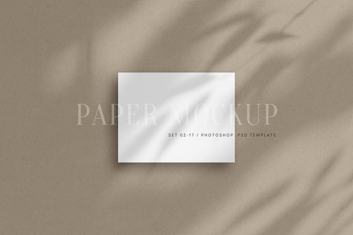 US Letter Flyer Mockup | 02-17, a Mockup by DESIGN BY nube (Photo 1 of 10)