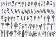 98 % OFF 2200++ Design elements, an Animal Illustration by Somjai King (Thumbnail 22 of 45)