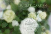 Blurry Flowers Abstract Backgrounds, a Background Graphic by Yuliya Derbisheva (Thumbnail 2 of 12)