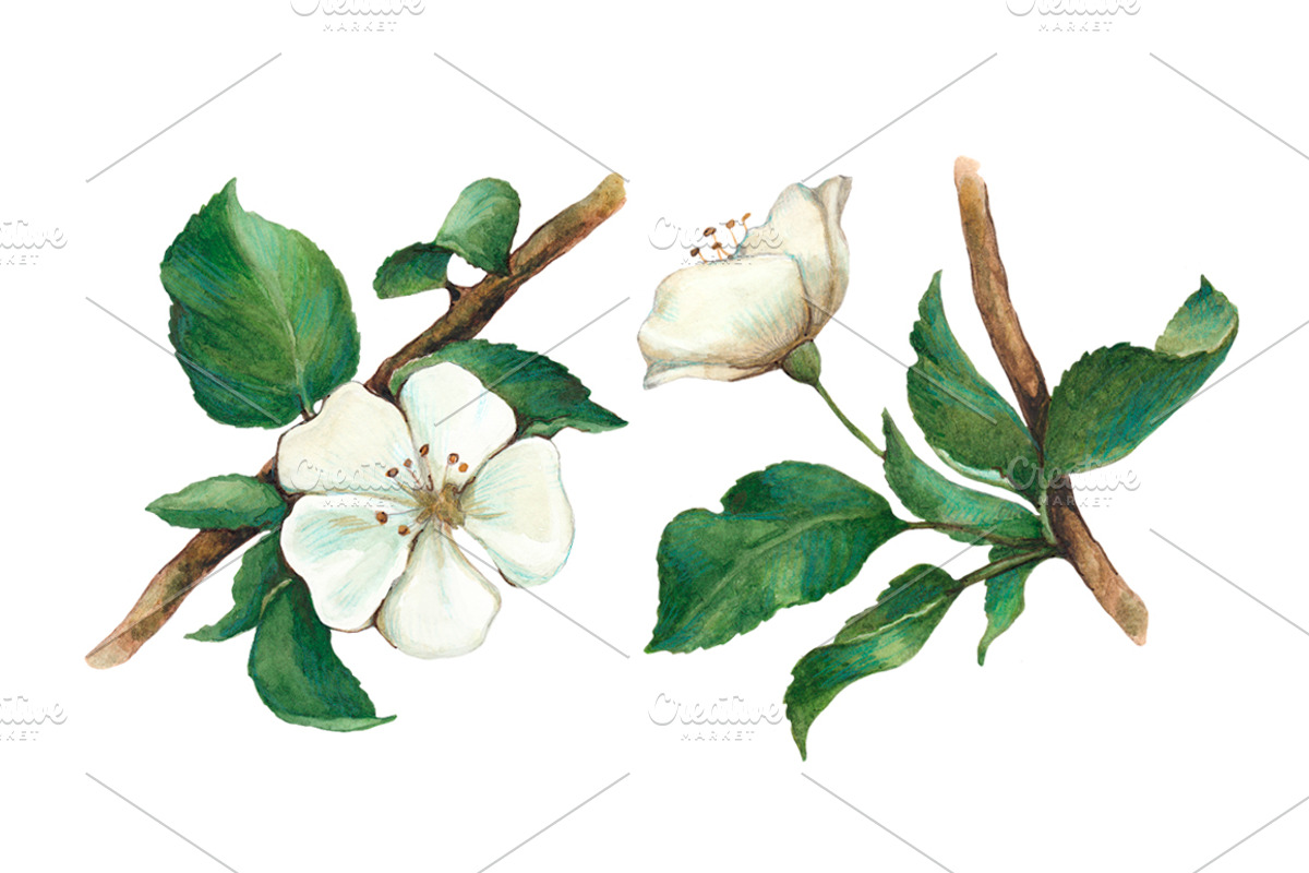 Seamless pattern with apple flowers preview 5