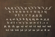 Silneva – Elegant Display Serif Font, a Serif Font by BrandSemut (Thumbnail 9 of 9)