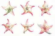 Whimsical Summer starfish clipart, an Illustration by Designworld (Thumbnail 5 of 8)