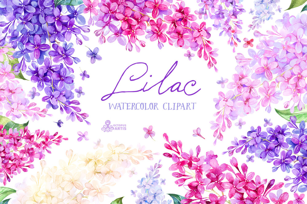 Lilac. Watercolor collection, an Illustration by OctopusArtis (Photo 1 of 5)