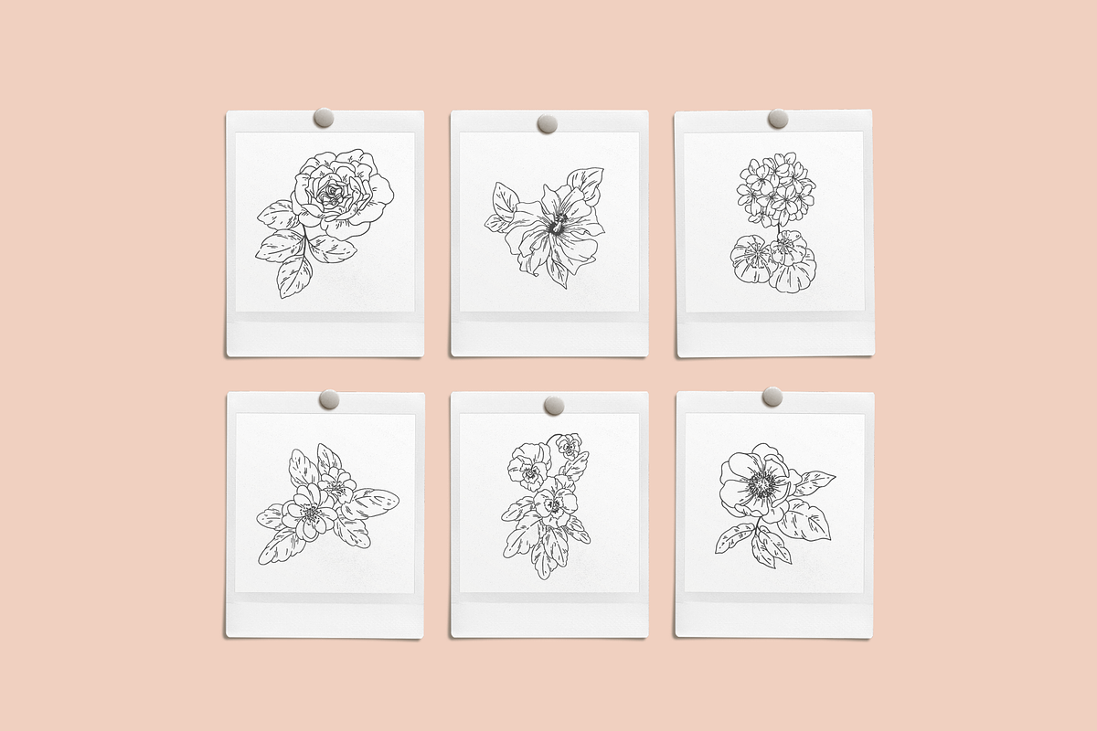 Flower Garden Vector Illustrations, a Decorative Illustration by Emma Webb Studio (Photo 5 of 8)