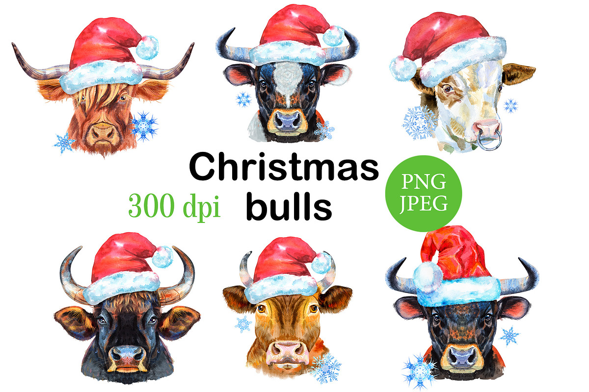 Christmas bulls, an Animal Illustration by Watercolor fantasy (Photo 1 of 4)