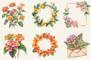 Watercolor Lantana Flower Clipart, an Illustration by OK Design (Thumbnail 2 of 5)