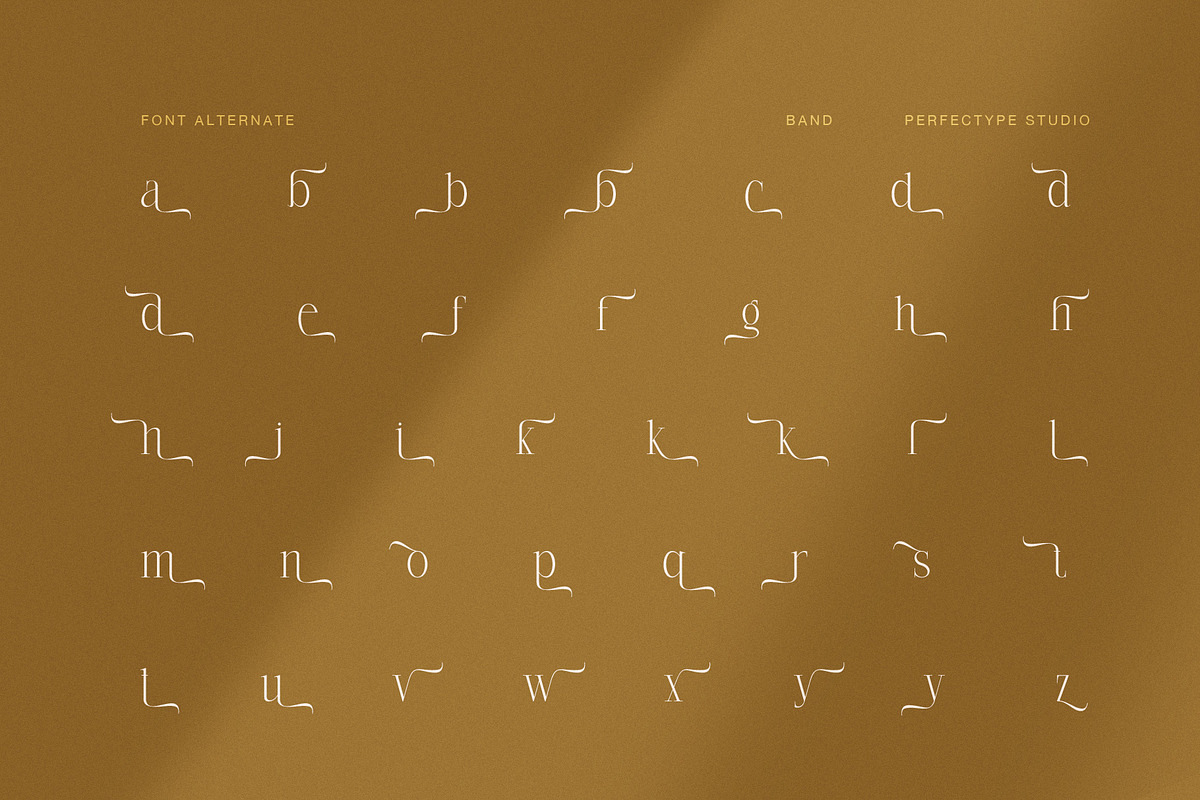 Band Elegant Swash Serif Font, a Serif Font by Perfectype (Photo 8 of 8)