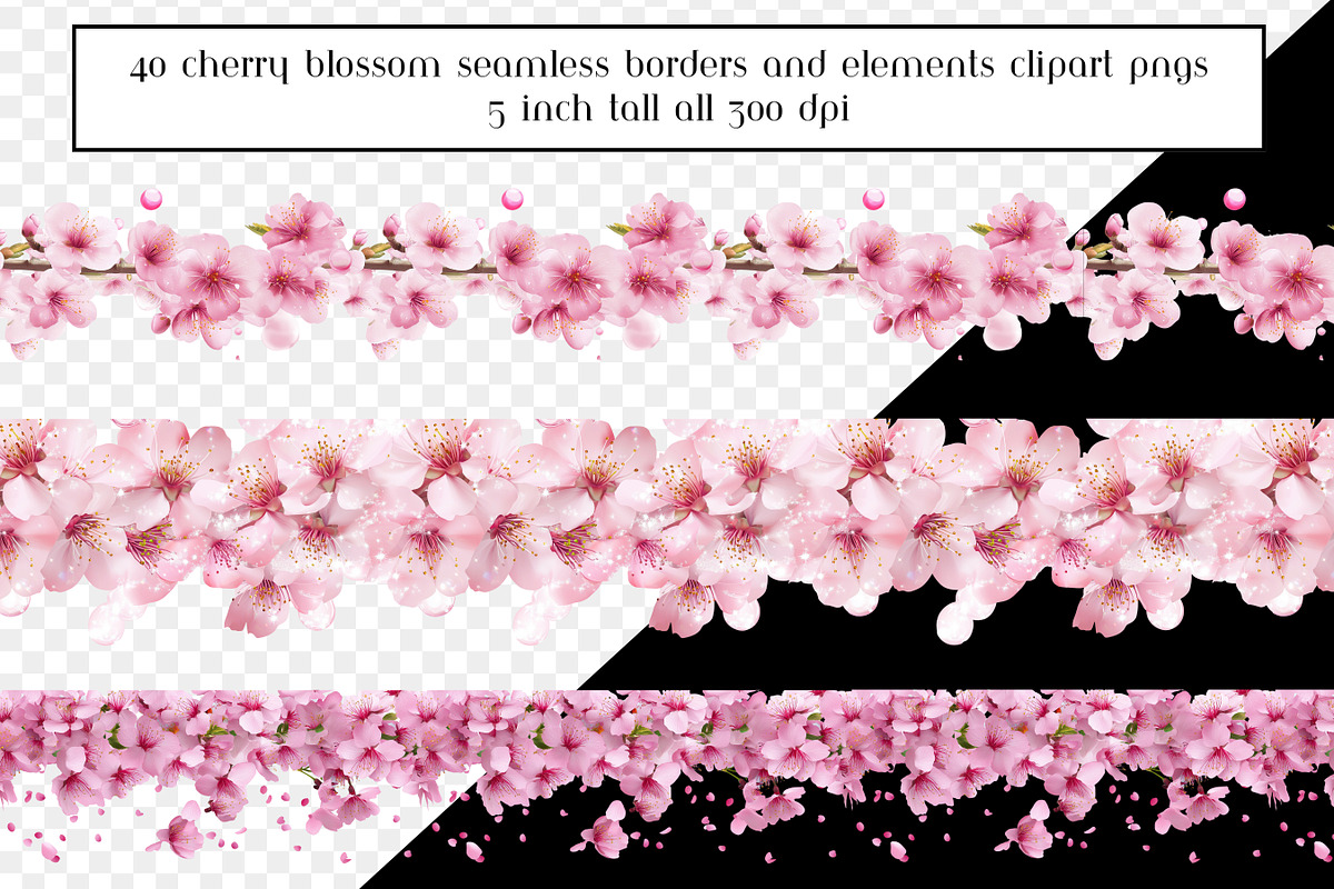 Cherry Blossom Seamless Borders, an Object Graphic by AllTheKewtClipart (Photo 4 of 10)