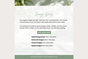 Sage Website Background Images Set, a Background Graphic by Hayley's Digital Hub (Thumbnail 5 of 10)