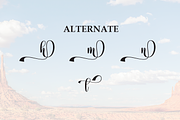 Western | Script Font, a Handwritten Font by Scratchones (Thumbnail 8 of 9)