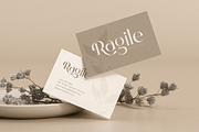 Begin - Modern Luxury Sans Serif, a Sans Serif Font by Sensatype (Thumbnail 4 of 16)