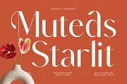 Muteds Starlit Modern Serif Font, a Sans Serif Font by timelesstype.co (Thumbnail 1 of 20)