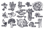 Vegetables and mushrooms., a Food Illustration by MarinaVorontsova (Thumbnail 5 of 10)