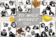 BUNDLE WILD ANIMALS VECTOR, an Animal Illustration by AnastasiyaOleynik (Thumbnail 5 of 20)