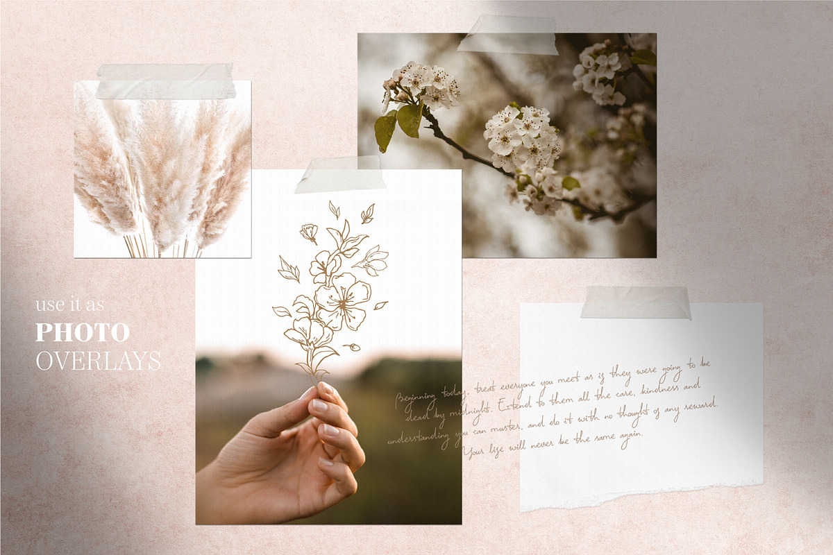 Cherry Blossom graphic set, an Illustration by EkaterinaKiriy (Photo 8 of 13)