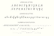 Celadon Modern Calligraphy Font, a Script Font by Studio Indigo (Thumbnail 9 of 15)