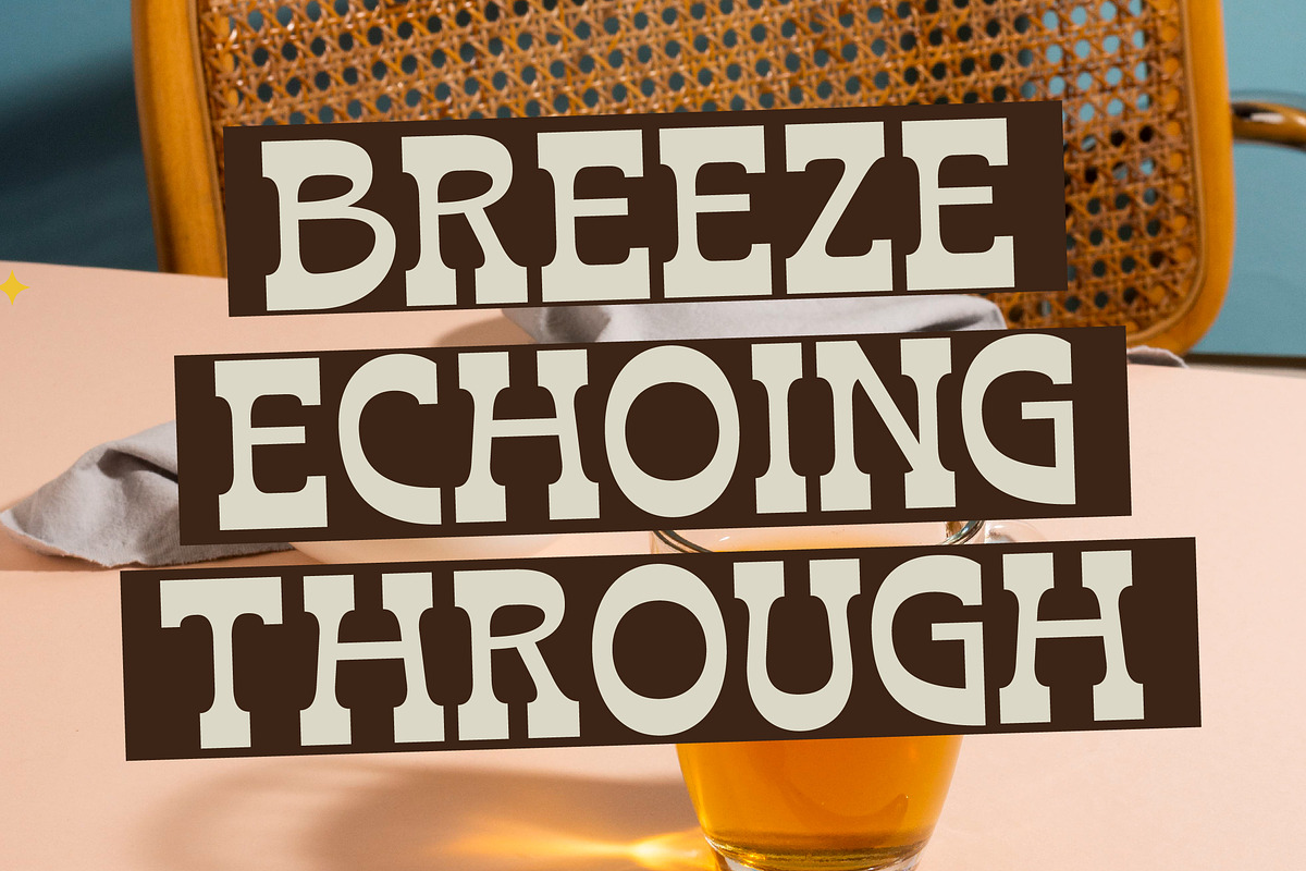 Bring Horse Western Slab Serif, a Slab Serif Font by timelesstype.co (Photo 2 of 20)