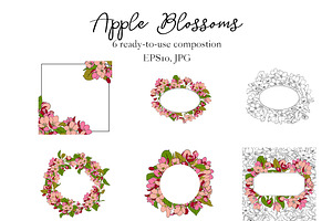 Apple Blossoms