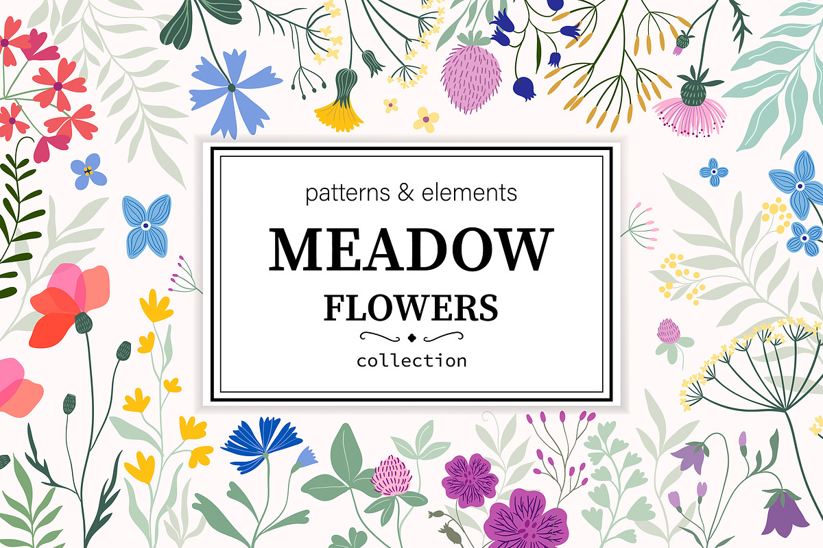 Meadow flowers collection, an Illustration by Letto studio (Photo 1 of 7)