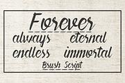 Forever Brush Script, a Script Font by vectalex (Thumbnail 5 of 5)