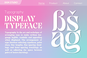 Aventi - Bold Style, a Serif Font by Sign Studio (Thumbnail 4 of 10)