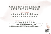 Nebora, a Sans Serif Font by productype1 (Thumbnail 14 of 16)