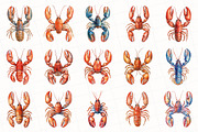 Watercolor Lobster Clipart, an Illustration by OK Design (Thumbnail 3 of 6)