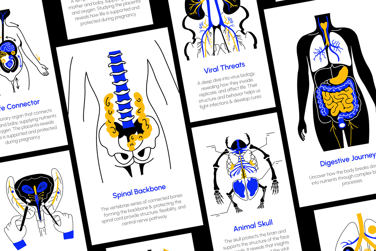Biology Art Illustration, an Education Illustration by Vectors Market (Photo 3 of 9)