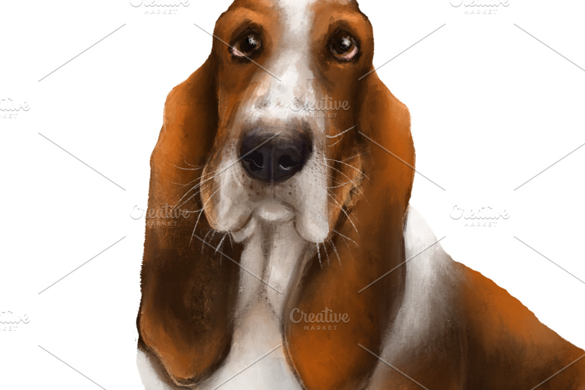 Dog breeds collection, an Animal Illustration by sheincar (Photo 3 of 4)